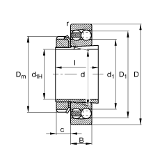 {(dio)S 1209-K-TVH-C3 + H209, (j) DIN 630  DIN 5415 (bio)(zhn)Ҫߴ, F׺;o
